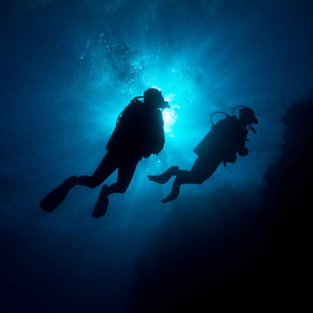 Luxury Scuba Experiences