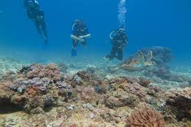 Luxury Zanzibar Adrenaline Tour