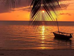 2 week Scuba Adventure – Zanzibar | Mozambique | South Africa