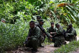 First Blood Jungle Survival Corporate Team Building